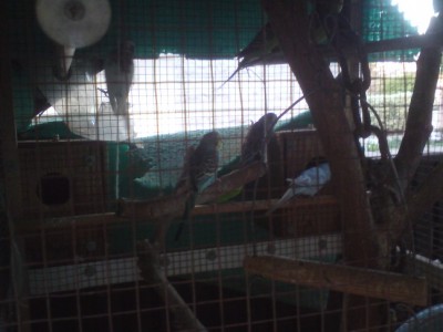 DSC01326 (648 x 486).jpg