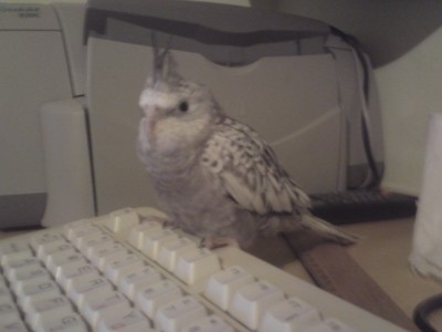 תמונה 200 (648 x 486).jpg