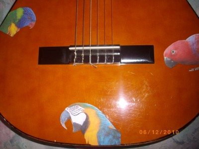 IMGP9769.JPG