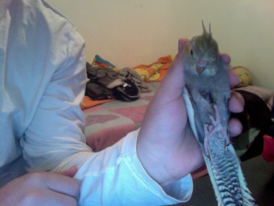 Photo on 2010-12-09 at 00.38.jpg