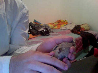 Photo on 2010-12-09 at 00.38 #3.jpg