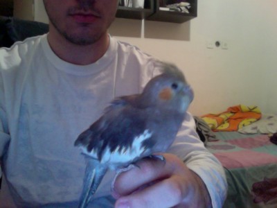 Photo on 2010-12-09 at 00.39.jpg