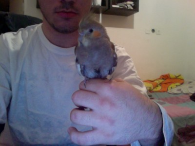 Photo on 2010-12-09 at 00.39 #3.jpg