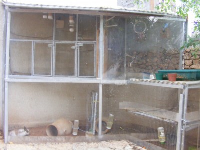 DSCF8738 (1024 x 768).jpg