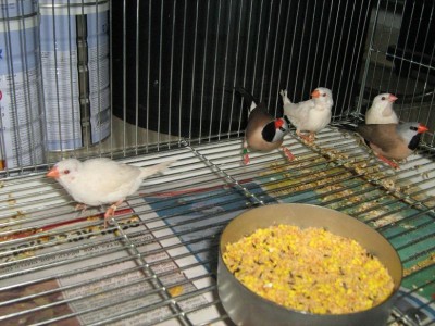 IMG_2178.JPG