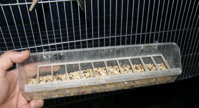 PC290551.JPG