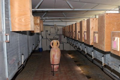 103.JPG