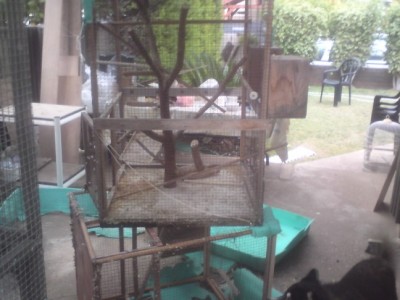 DSC01453 (648 x 486).jpg