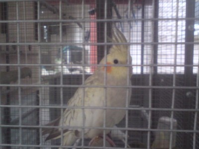 DSC01456 (648 x 486).jpg