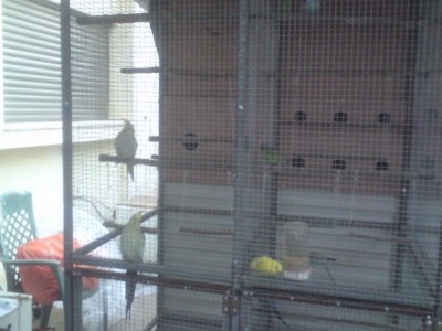 DSC01458 (648 x 486).jpg