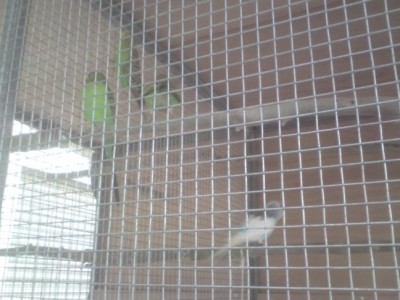 DSC01463 (648 x 486).jpg