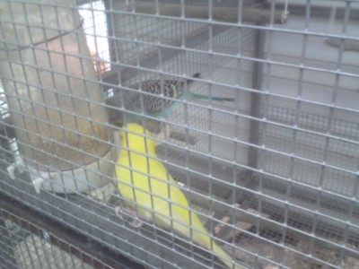 DSC01464 (648 x 486).jpg