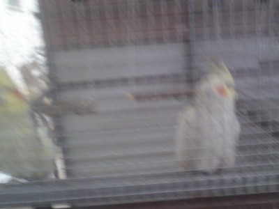 DSC01469 (648 x 486).jpg