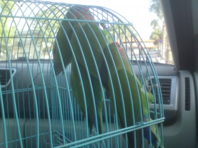 DSC01502 (648 x 486).jpg