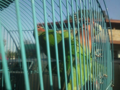 DSC01505 (648 x 486).jpg