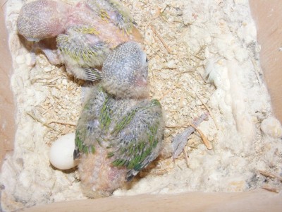 DSCF8857 (1024 x 768).jpg