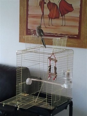 2011-01-15 12.23.18.jpg