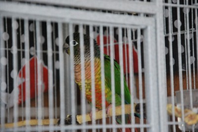 DSC_3864.jpg