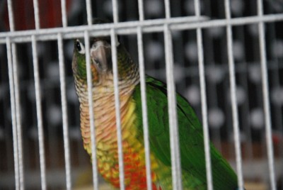 DSC_3865.jpg