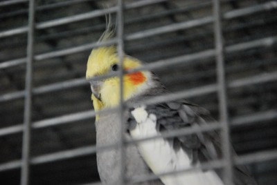 DSC_3866.jpg