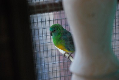 DSC_3867.jpg