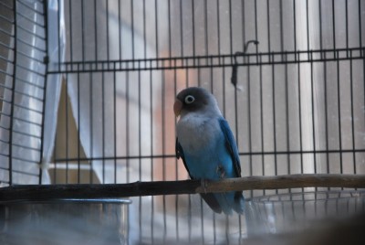 DSC_3870.jpg