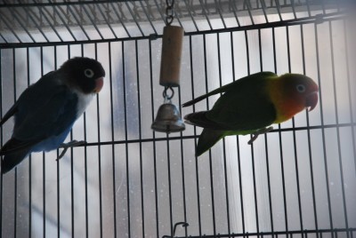 DSC_3871.jpg