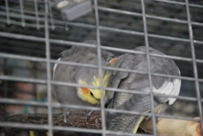 DSC_3886.jpg