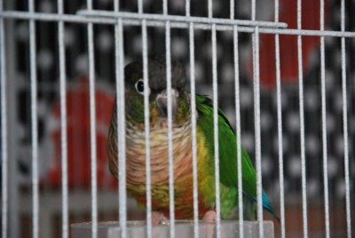 DSC_3887.jpg