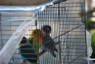 DSC_3888.jpg