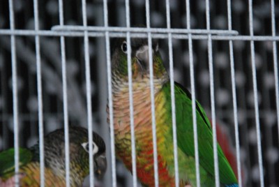 DSC_3893.jpg