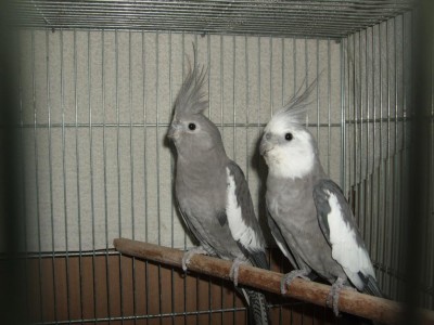 DSCF2922.JPG