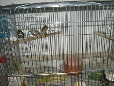 IMG_2210.JPG