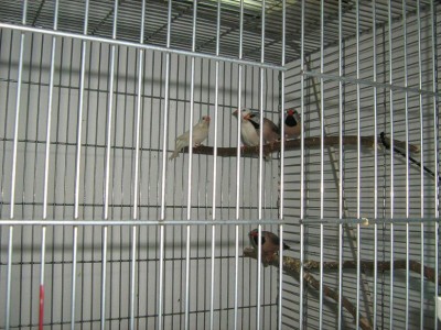 IMG_2212.JPG