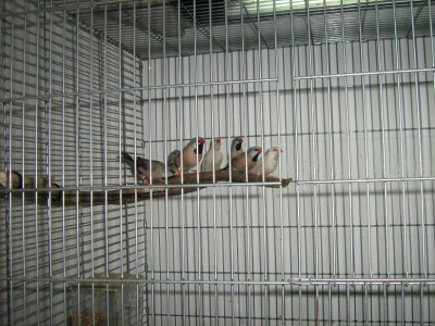 IMG_2215.JPG