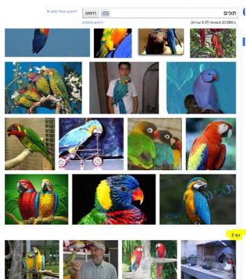 google.JPG