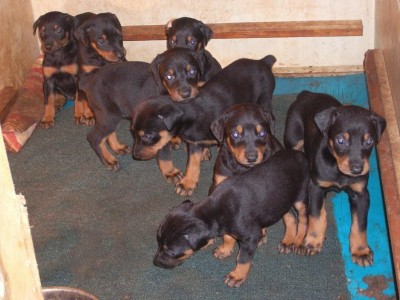 כל האחים שלה והיא XD