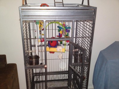 רובי בכלוב החדש שלה.JPG