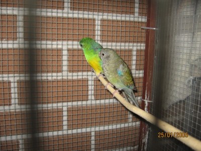 IMG_2154.jpg