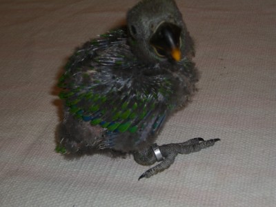 CIMG1327.JPG