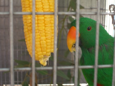 CIMG0344.JPG