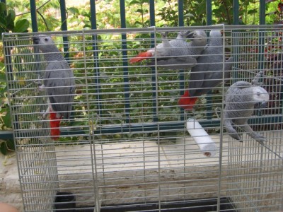 CIMG0432.JPG