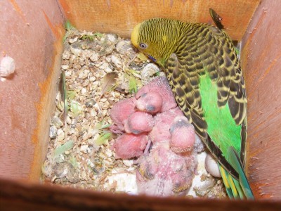 DSCF9011 (1024 x 768).jpg