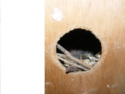 DSCF9024 (600 x 450).jpg