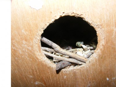 DSCF9025 (1024 x 768).jpg