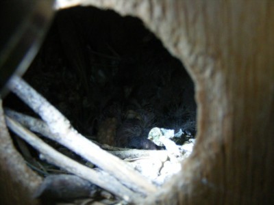 DSCF9033 (1024 x 768).jpg