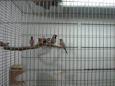IMG_2276.JPG