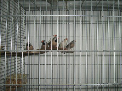 IMG_2279.JPG