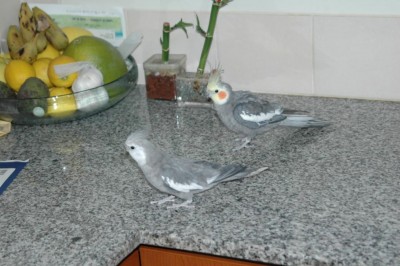 DSC_5811.jpg