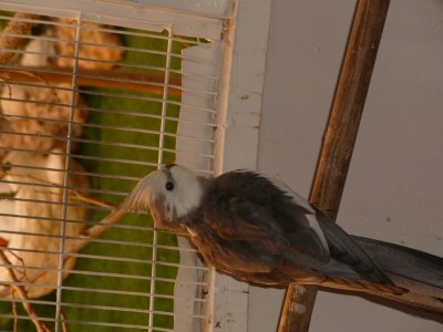 P1000859.jpg